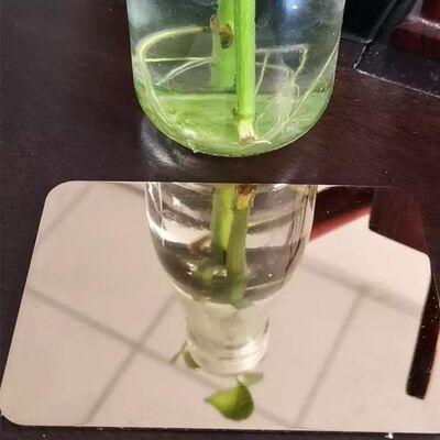 Strato laminato a caldo di acciaio inossidabile 316 per la parete che perfora con della superficie di SEDERE 2B 8K gli HL